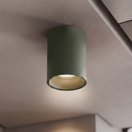 BRILAGI - Spotlight TRINE 1xGU10/30W/230V dark green
