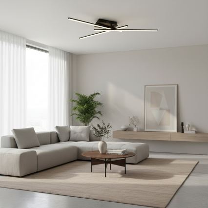 Brilagi - STRIPES LED Ceiling Light LED/30W/230V 51x78 cm Black