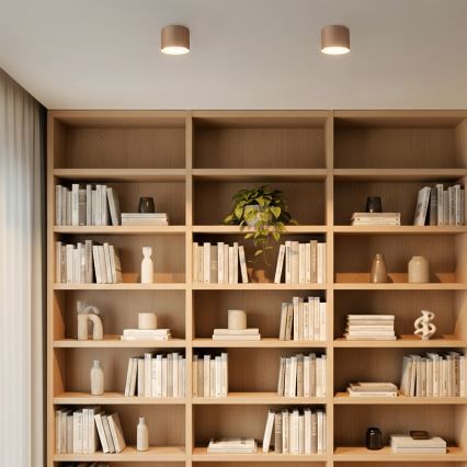 Brilagi - STRIPY Spotlight 1xGX53/15W/230V Beige