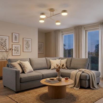 Brilagi - Surface-mounted ceiling light MONO 4xGX53/12W/230V beige