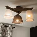 Brilagi - Surface-mounted chandelier ANTHONY 3xE14/40W/230V oak walnut