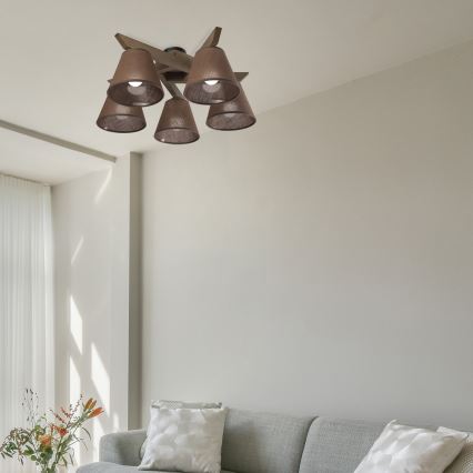 Brilagi - Surface-mounted chandelier ANTHONY 5xE14/40W/230V oak walnut/brown