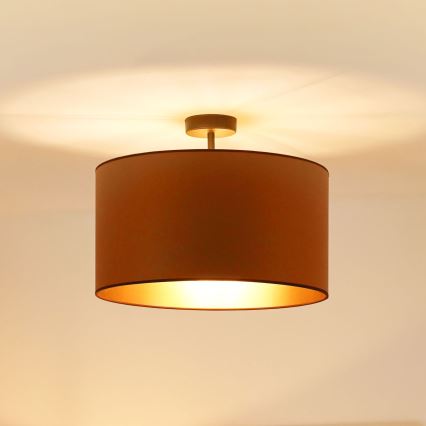 Brilagi - Surface-mounted chandelier OREGON ROLLER VEGE 1xE27/15W/230V d. 45 cm brown