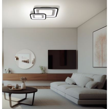 Brilagi - LED Dimmable ceiling light TANDORA LED/49W/230V 50x50 cm 3000-6000K + remote control