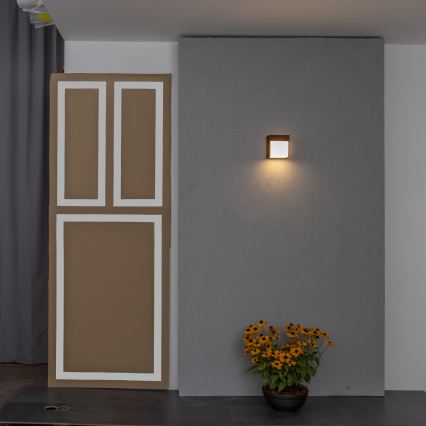BRILAGI - TERNI LED Outdoor Wall Light/12W/230V Brown IP44