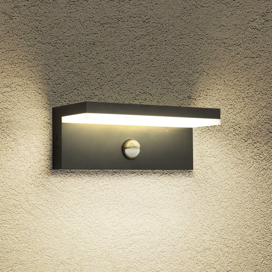 Brilagi - TESSI LED Outdoor Wall Light with Sensor LED/10W/230V Black IP54