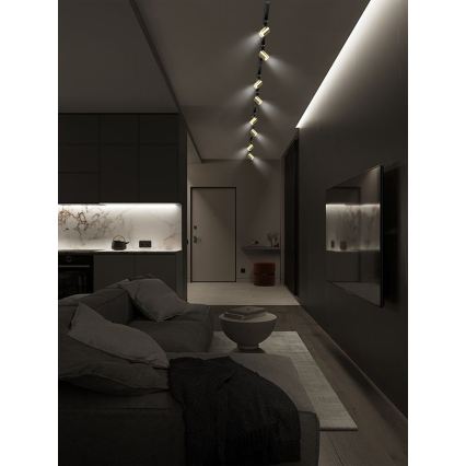 Brilagi - Track-mounted spotlight HUSKY 8xGU10/10W/230V black/gold