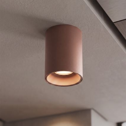BRILAGI - TRINE spotlight 1xGU10/30W/230V brown