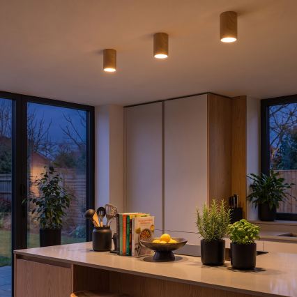BRILAGI - TRINE spotlight 1xGU10/30W/230V oak finish