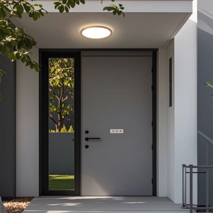 Brilagi - LED Bathroom Ceiling Light ULTRA SLIM LED/12W/230V Ø 22.5 cm Rose Gold IP54