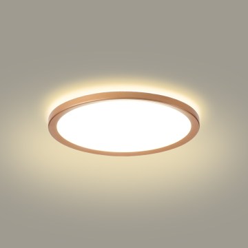 Brilagi - ULTRA SLIM LED Bathroom Ceiling Light, 18W/230V, Ø 30 cm, Rose Gold, IP54