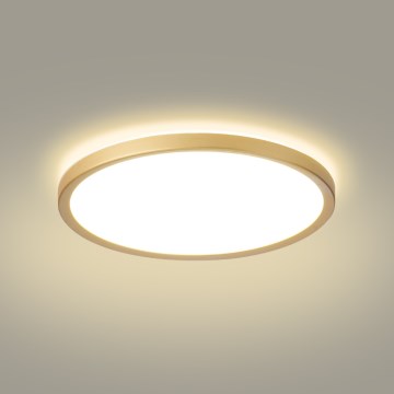 Brilagi - ULTRA SLIM LED Bathroom Ceiling Light 24W/230V Ø 42 cm Gold IP54