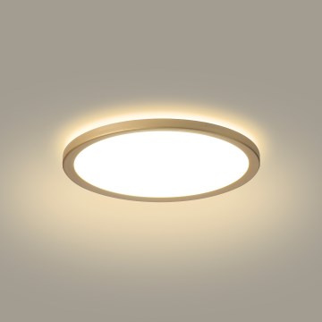 Brilagi - ULTRA SLIM LED Bathroom Ceiling Light LED/12W/230V Ø 22.5 cm Gold IP54