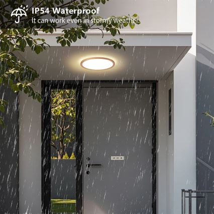 Brilagi - ULTRA SLIM LED Bathroom Ceiling Light, 18W/230V, Ø 30 cm, Rose Gold, IP54