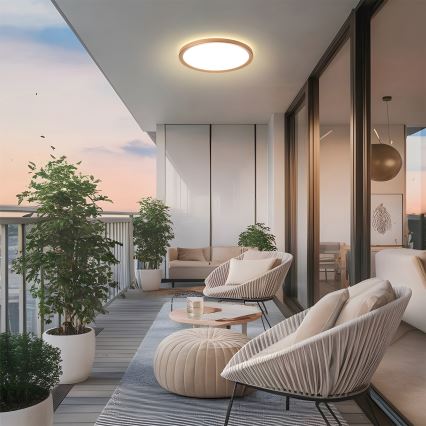 Brilagi - ULTRA SLIM LED Bathroom Ceiling Light, 18W/230V, Ø 30 cm, Rose Gold, IP54