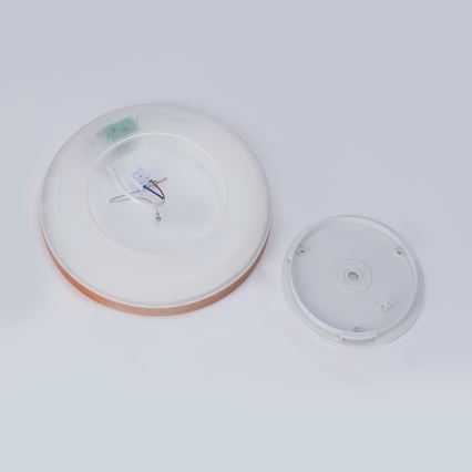 Brilagi - ULTRA SLIM LED Bathroom Ceiling Light, 18W/230V, Ø 30 cm, Rose Gold, IP54