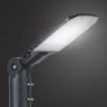 Brilagi - URBANLIGHT LED Street Lamp LED/50W/230V Anthracite IP65