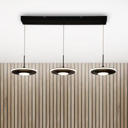 Brilagi - VERANO Cable-Mounted LED Pendant, 3xLED/15W/230V