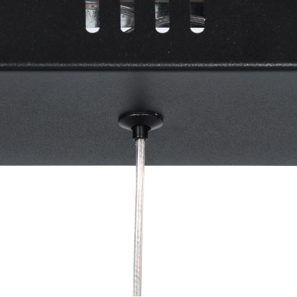 Brilagi - VERANO Cable-Mounted LED Pendant, 3xLED/15W/230V