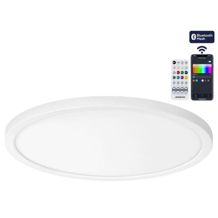Brilagi - VIBE LED RGBW Dimmable Ceiling Light LED/24W/230V 3000-6500K White + Remote Control
