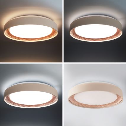 Brilagi - Dimmable LED ceiling light WALDO LED/48W/230V 3000-6500K Ø 40 cm beige/gold + remote control