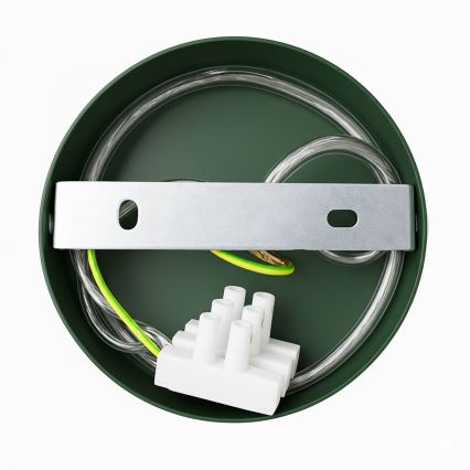 Brilagi - Wall light FLAMENGO 1xE27/60W/230V green