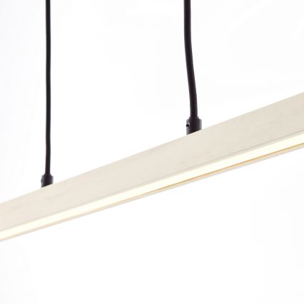 Brilliant - ARION LED Cable Pendant Light LED/22W/230V, Pine