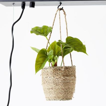 Brilliant - BANKWOOD cable pendant light 5xE27/28W/230V poplar