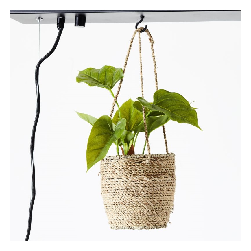 Brilliant - BANKWOOD cable pendant light 5xE27/28W/230V poplar