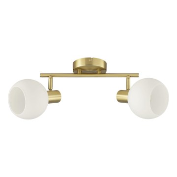 Brilliant - CONY Spotlight 2xE14/20W/230V Brass