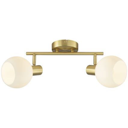 Brilliant - CONY Spotlight 2xE14/20W/230V Brass