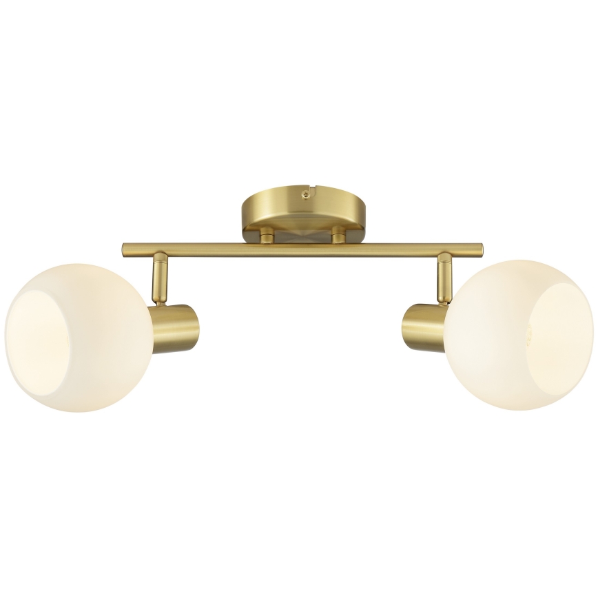 Brilliant - CONY Spotlight 2xE14/20W/230V Brass