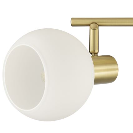 Brilliant - CONY Spotlight 2xE14/20W/230V Brass