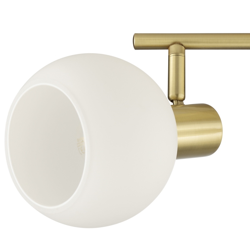 Brilliant - CONY Spotlight 2xE14/20W/230V Brass