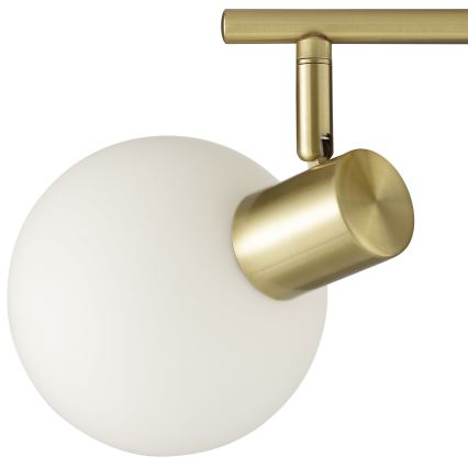 Brilliant - CONY Spotlight 2xE14/20W/230V Brass