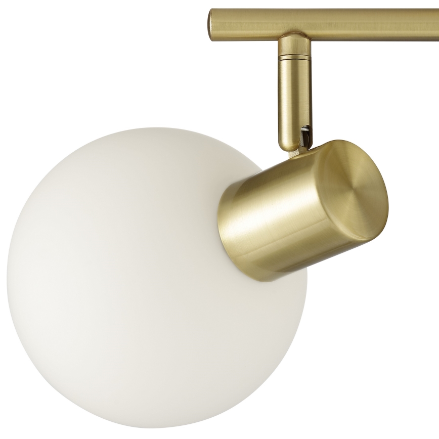 Brilliant - CONY Spotlight 2xE14/20W/230V Brass