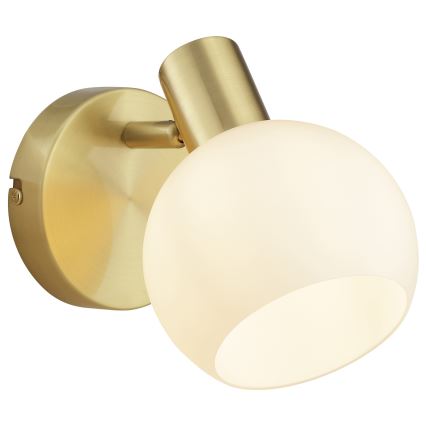 Brilliant - CONY wall-mounted spotlight 1xE14/20W/230V brass