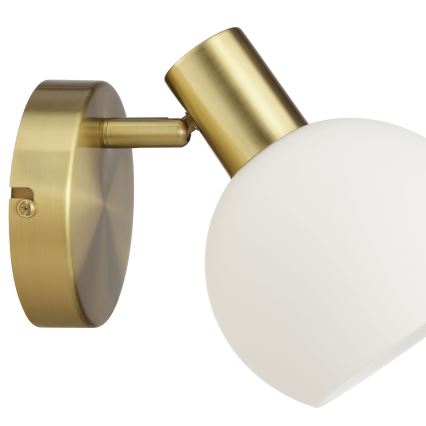Brilliant - CONY wall-mounted spotlight 1xE14/20W/230V brass