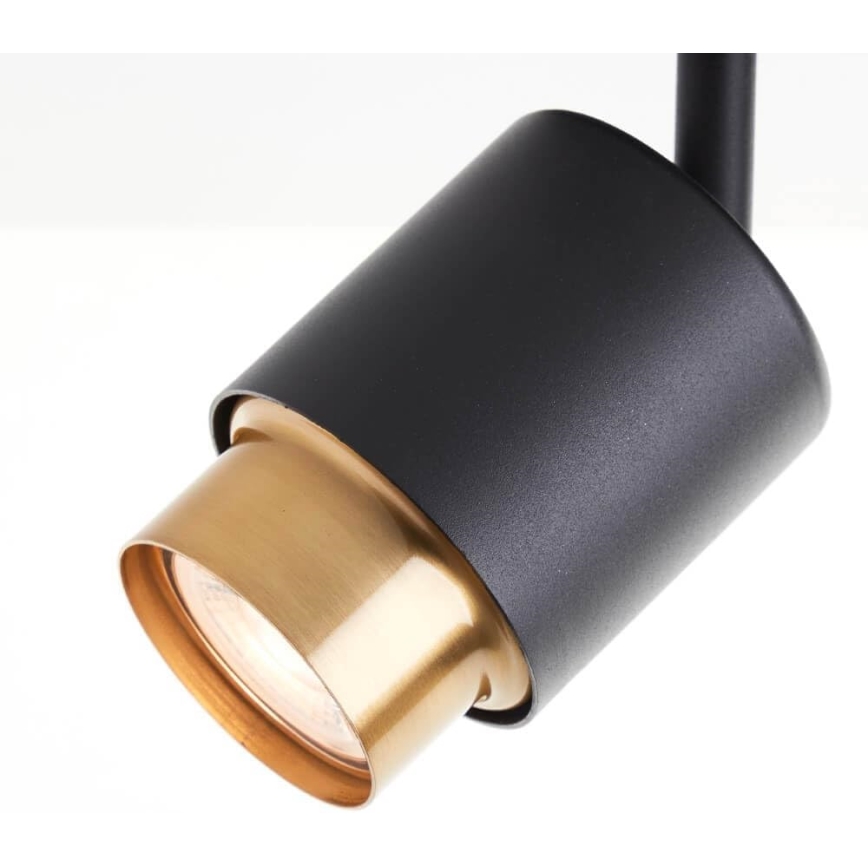 Brilliant - COVELO LED spotlight 3x GU10/5W/230V black/gold