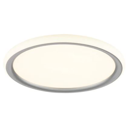 Brilliant - LED Dimmable Ceiling Light CARLOZ LED/16W/230V Ø 30 cm white/grey