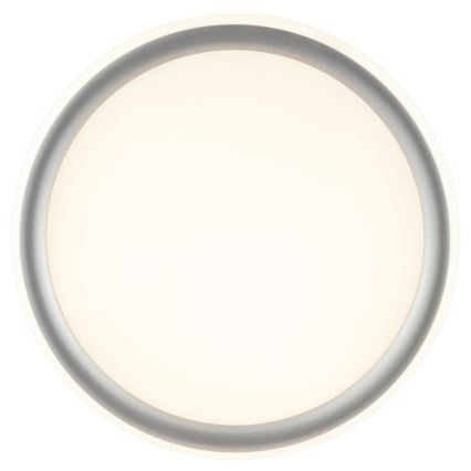 Brilliant - LED Dimmable Ceiling Light CARLOZ LED/16W/230V Ø 30 cm white/grey