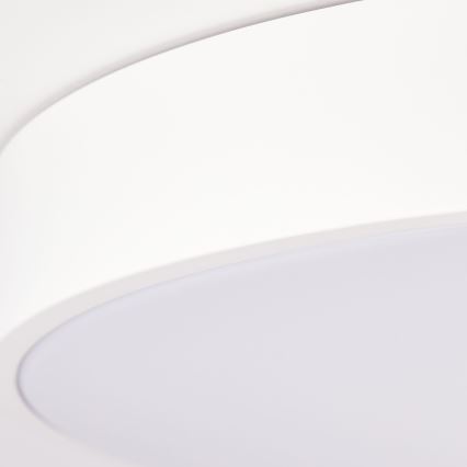 Brilliant - SLIMLINE Dimmable LED Ceiling Light LED/60W/230V 3000-6500K Ø 49 cm White + Remote Control