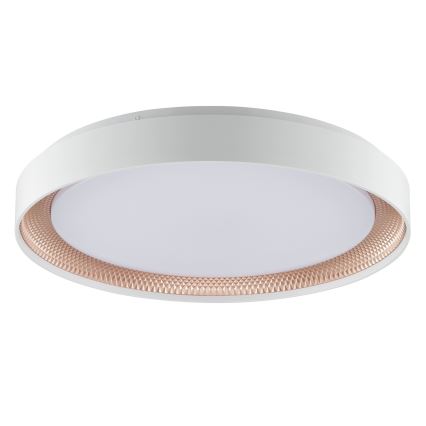 Brilliant - WALDO LED Dimmable Ceiling Light, 36W/230V, 3000–6500K, Ø 48.5 cm, White/Rose Gold + Remote Control