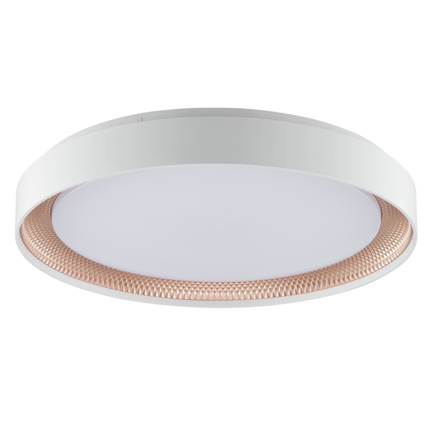 Brilliant - WALDO LED Dimmable Ceiling Light, 36W/230V, 3000–6500K, Ø 48.5 cm, White/Rose Gold + Remote Control