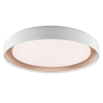 Brilliant - WALDO LED Dimmable Ceiling Light, 36W/230V, 3000–6500K, Ø 48.5 cm, White/Rose Gold + Remote Control