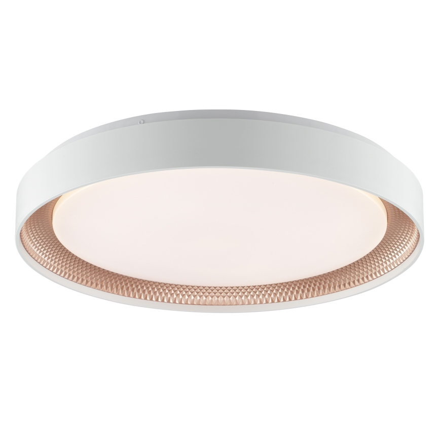 Brilliant - WALDO LED Dimmable Ceiling Light, 36W/230V, 3000–6500K, Ø 48.5 cm, White/Rose Gold + Remote Control