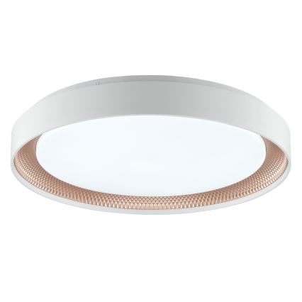 Brilliant - WALDO LED Dimmable Ceiling Light, 36W/230V, 3000–6500K, Ø 48.5 cm, White/Rose Gold + Remote Control