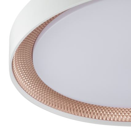 Brilliant - WALDO LED Dimmable Ceiling Light, 36W/230V, 3000–6500K, Ø 48.5 cm, White/Rose Gold + Remote Control