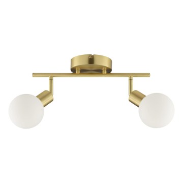 Brilliant - JORGE 2xG9/10W/230V brass spotlight