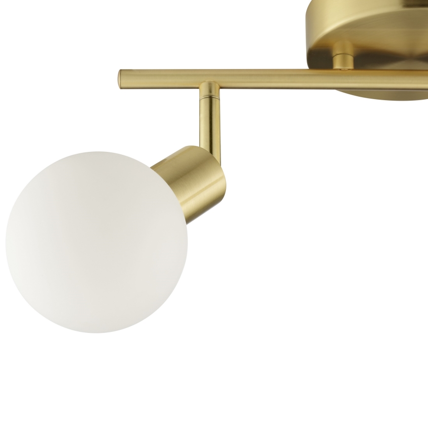 Brilliant - JORGE 2xG9/10W/230V brass spotlight